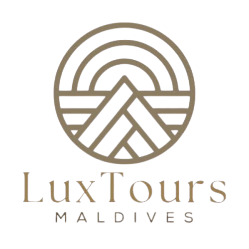 light logo